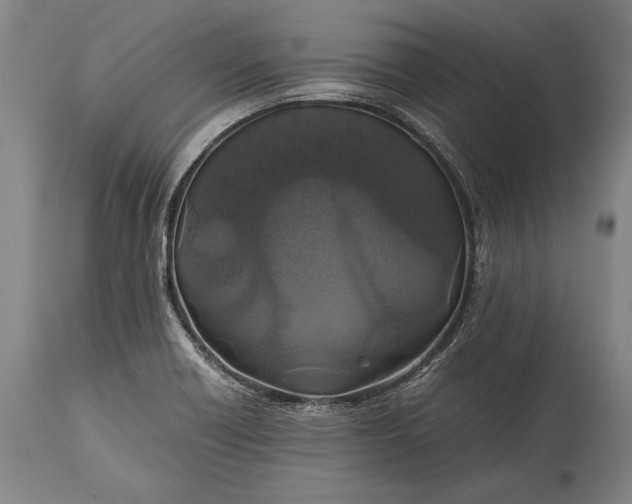 X0000115311418200911161710