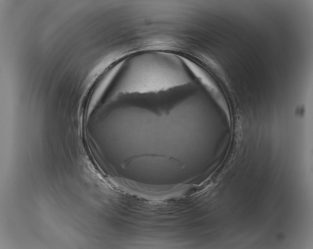 X0000115311419200911161710