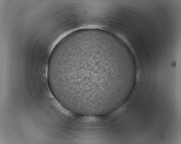 X0000115311420200911161710