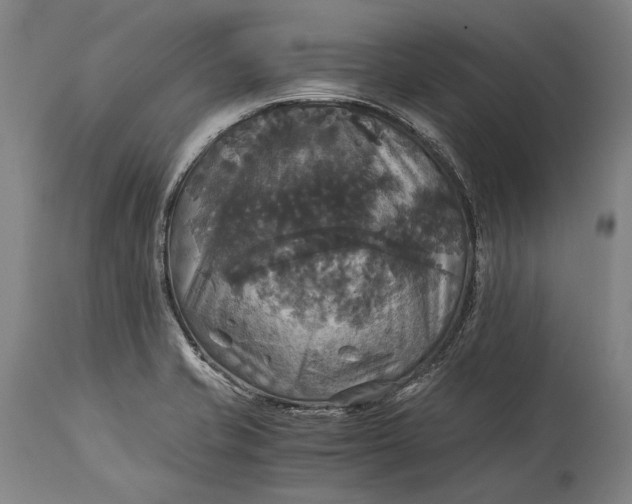 X0000115311421200911161710