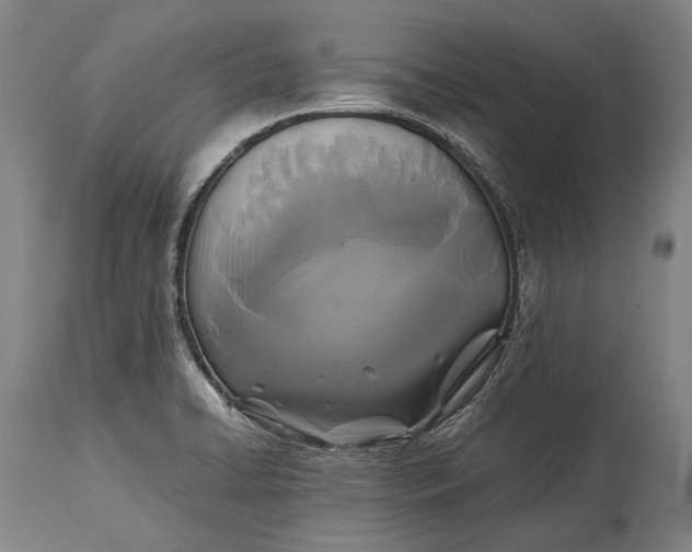 X0000115311422200911161710