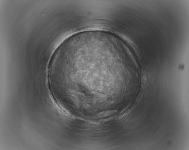 X0000115311423200911161710