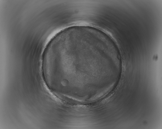 X0000115311424200911161710