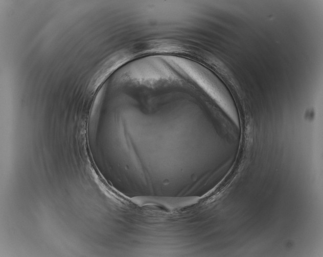 X0000115311425200911161711