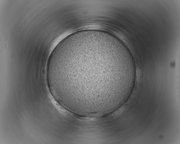 X0000115311426200911161711