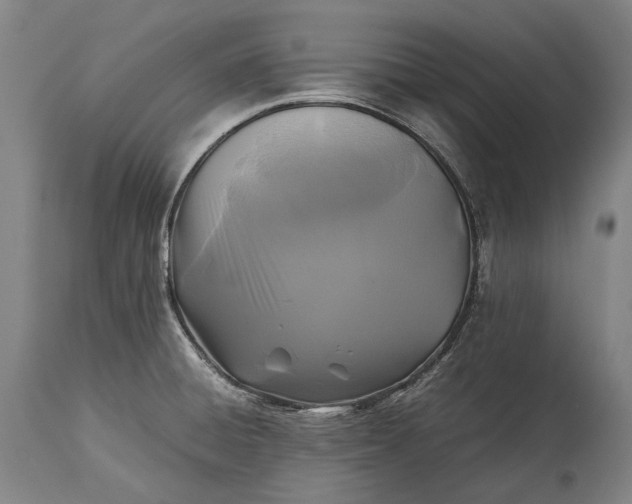 X0000115311428200911161711