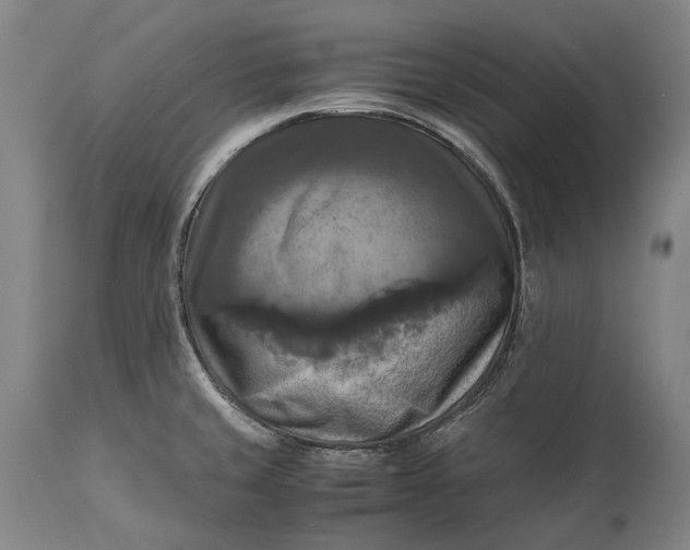 X0000115311429200911161711