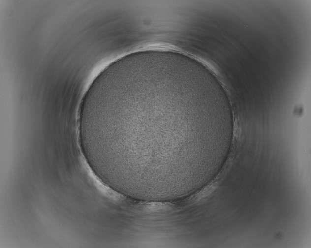 X0000115311430200911161711