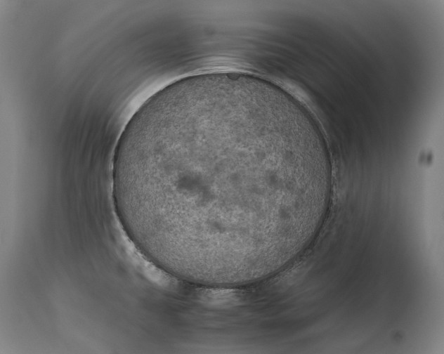 X0000115311431200911161711