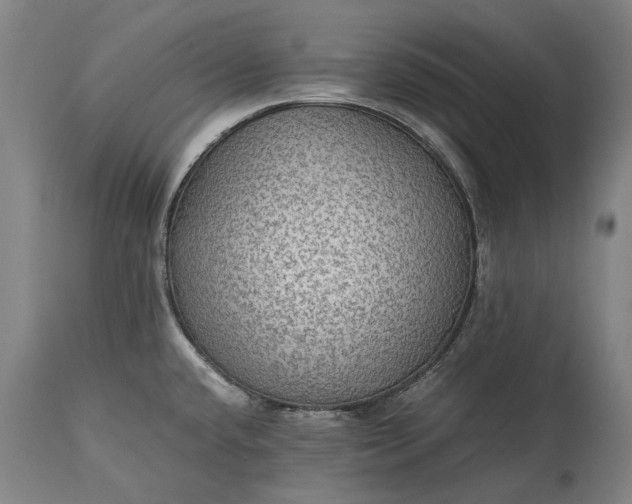 X0000115311432200911161711