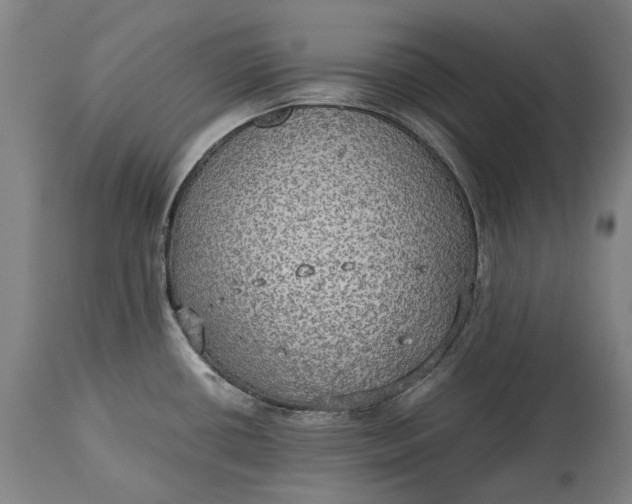 X0000115311434200911161711