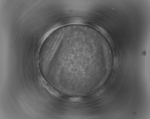 X0000115311435200911161711