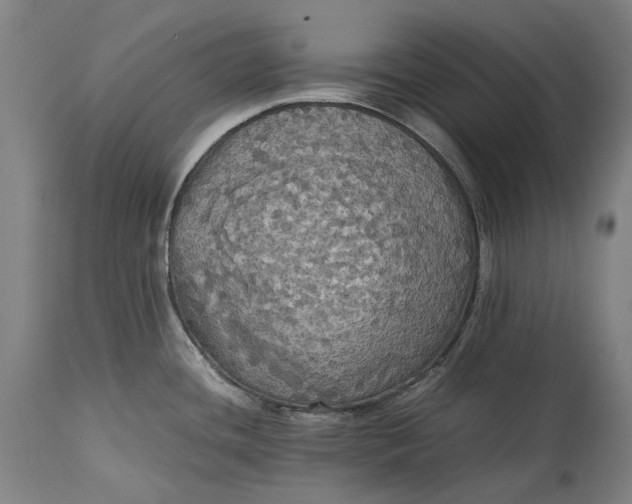 X0000115311436200911161711