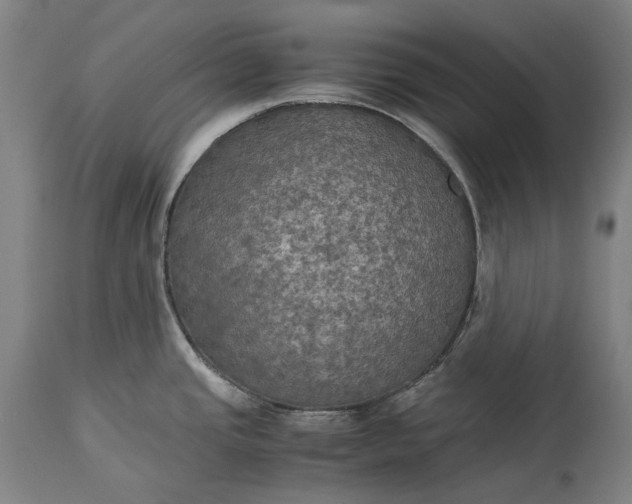 X0000115311437200911161711