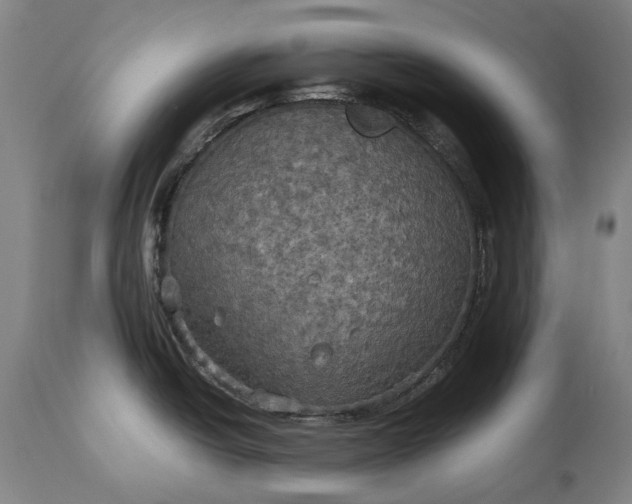 X0000115311438200911161711