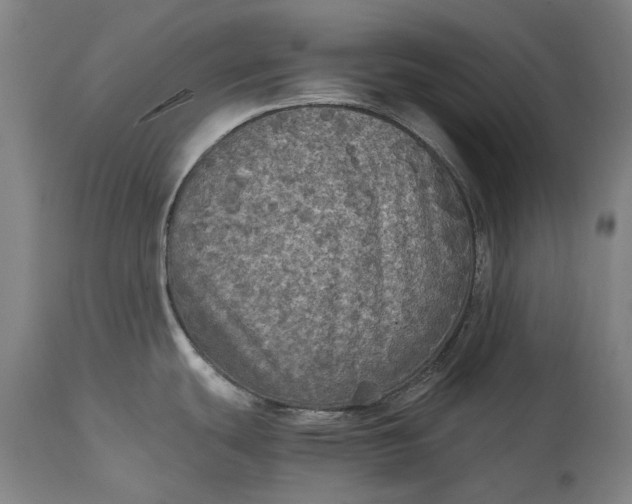 X0000115311439200911161711