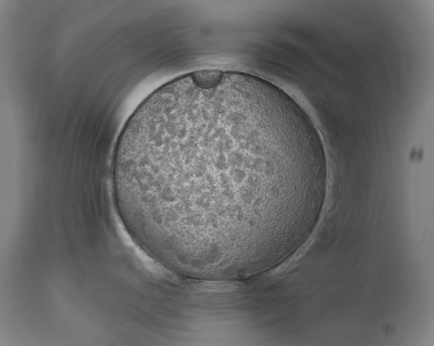 X0000115311440200911161711