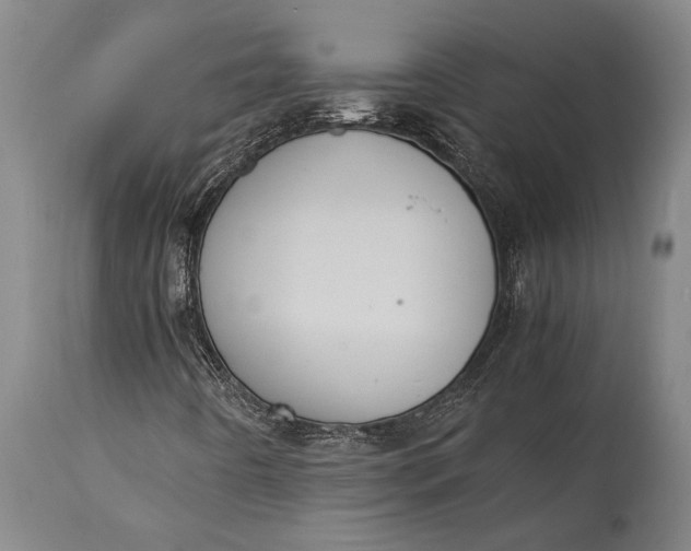 X0000115311442200911161710