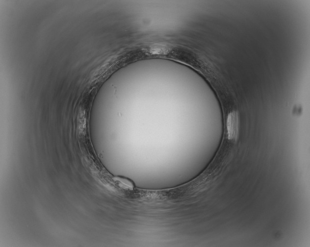 X0000115311443200911161710