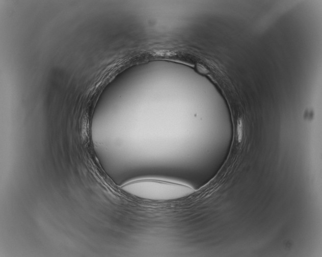 X0000115311444200911161710