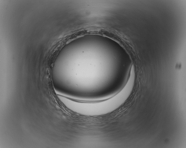 X0000115311445200911161710