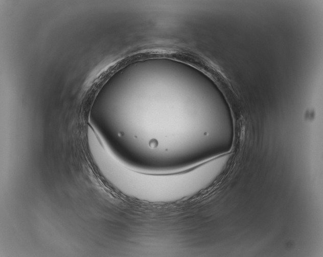 X0000115311448200911161710