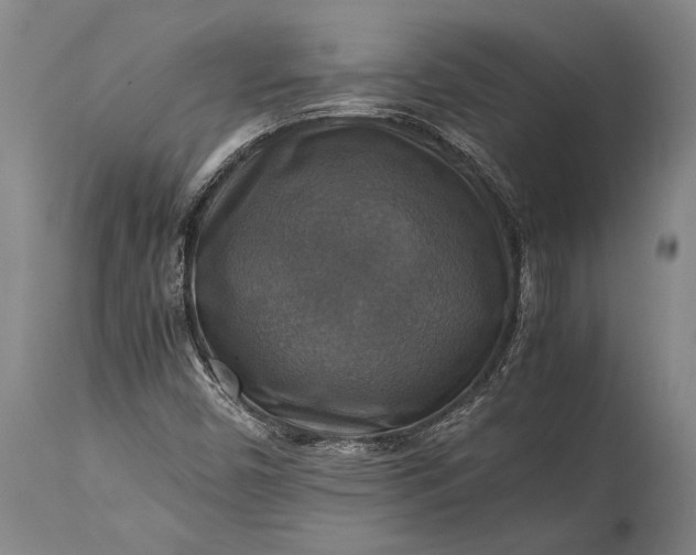 X0000115311450200911161710