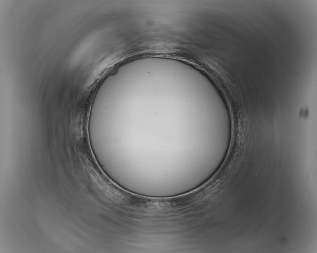 X0000115311451200911161710