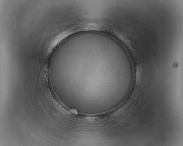 X0000115311453200911161710