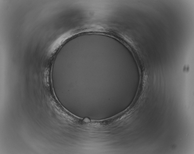 X0000115311455200911161710