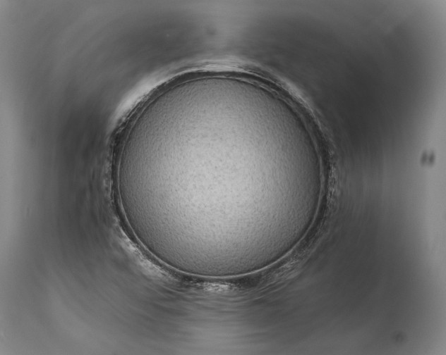 X0000115311456200911161710