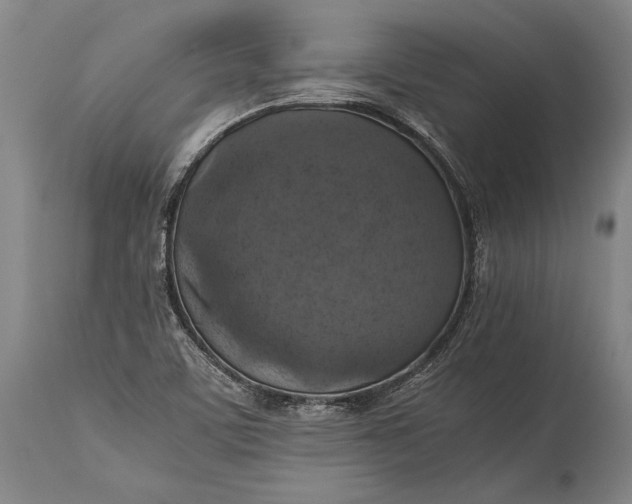 X0000115311459200911161710