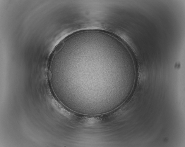 X0000115311460200911161710