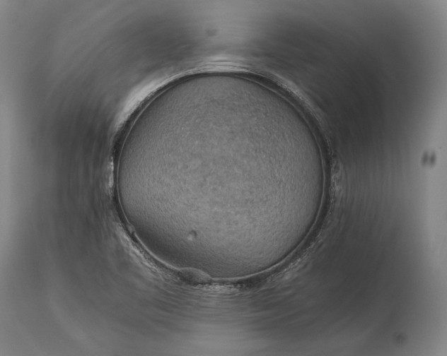 X0000115311461200911161710