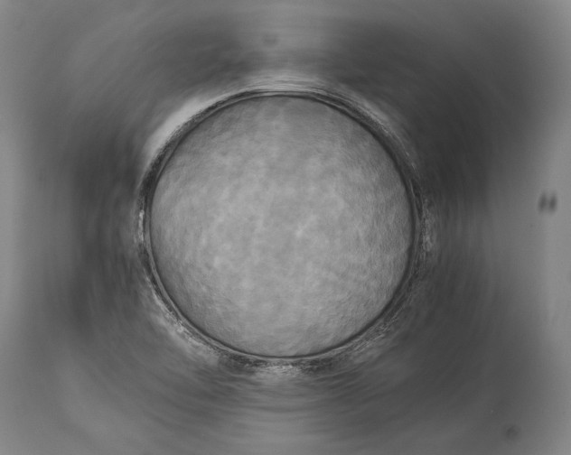 X0000115311462200911161710