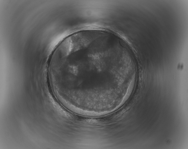 X0000115311463200911161710