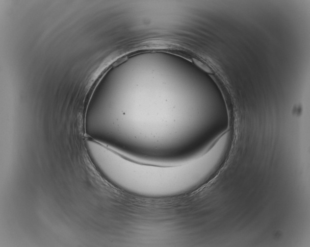 X0000115311465200911161710