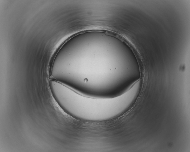 X0000115311468200911161710