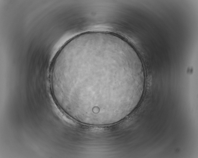 X0000115311470200911161710