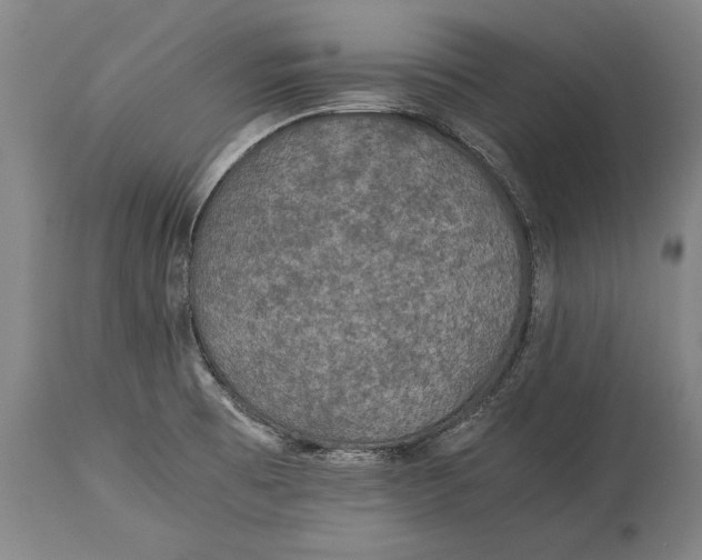 X0000115311473200911161710