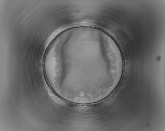 X0000115311474200911161710