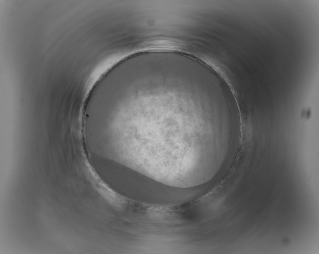 X0000115311477200911161710