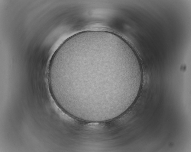 X0000115311478200911161710