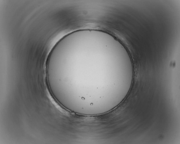 X0000115311479200911161710