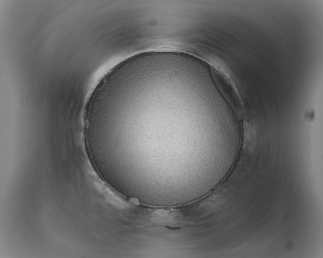 X0000115311480200911161710