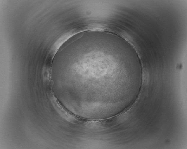 X0000115311481200911161709