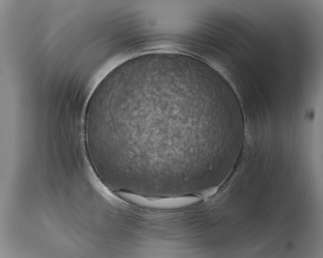 X0000115311482200911161709