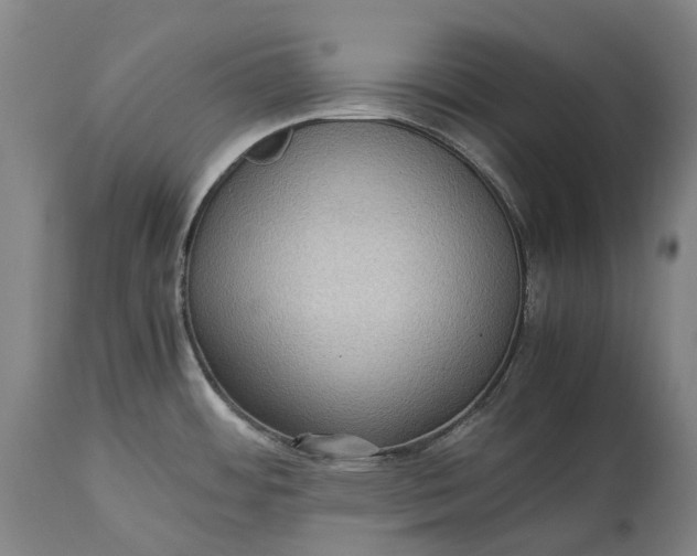 X0000115311484200911161709