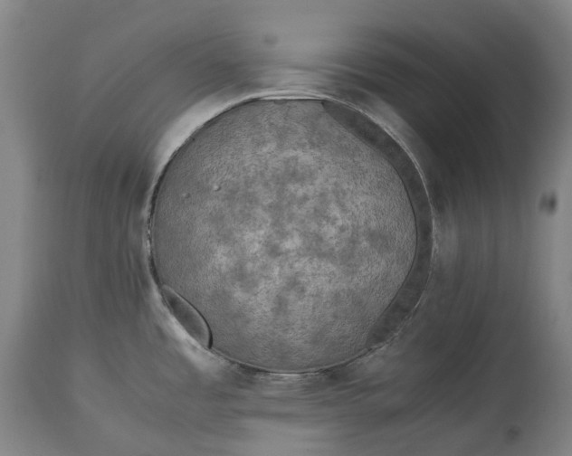 X0000115311485200911161709