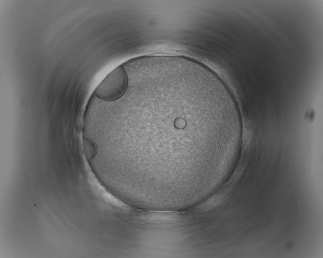 X0000115311486200911161709